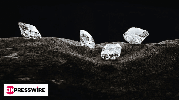 Amish Shah, Founder of Altr Created Diamonds & J’evar to be Panelist at 10th Annual Vibrant Gujarat Global Pre-summit