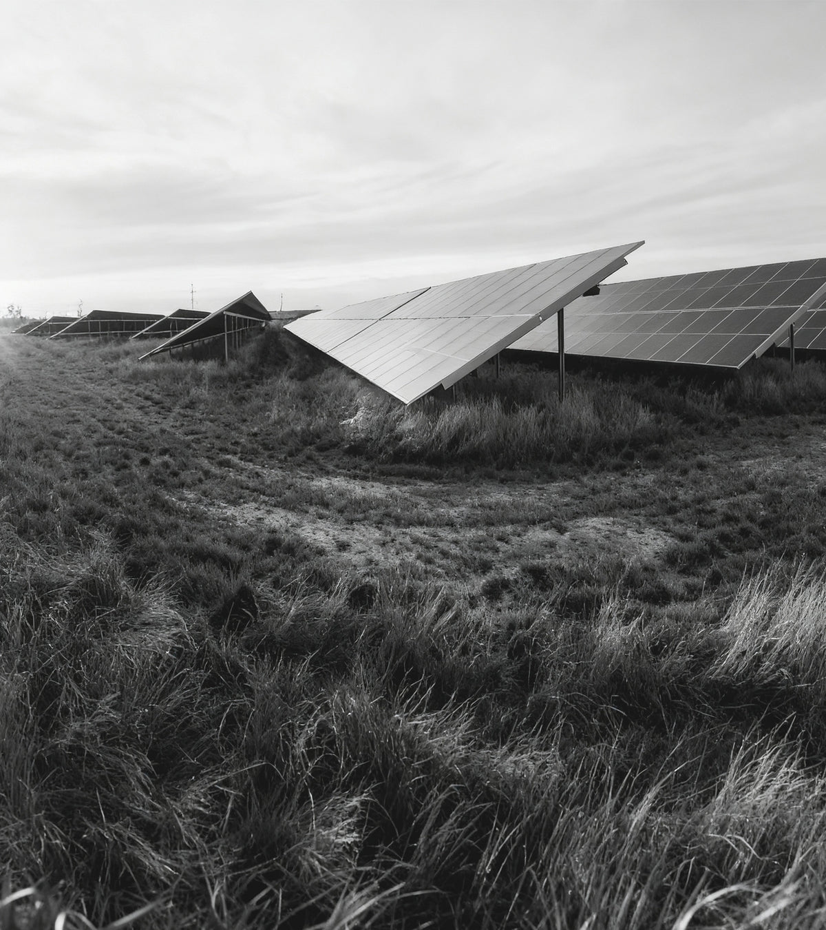 Monochrome landscape of a large solar panel farm powering sustainable ALTR lab-grown diamond production.