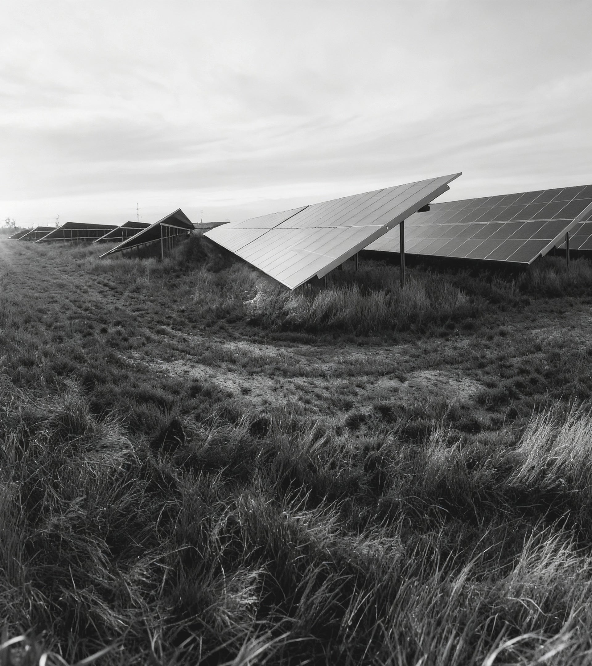 Monochrome landscape of a large solar panel farm powering sustainable ALTR lab-grown diamond production.