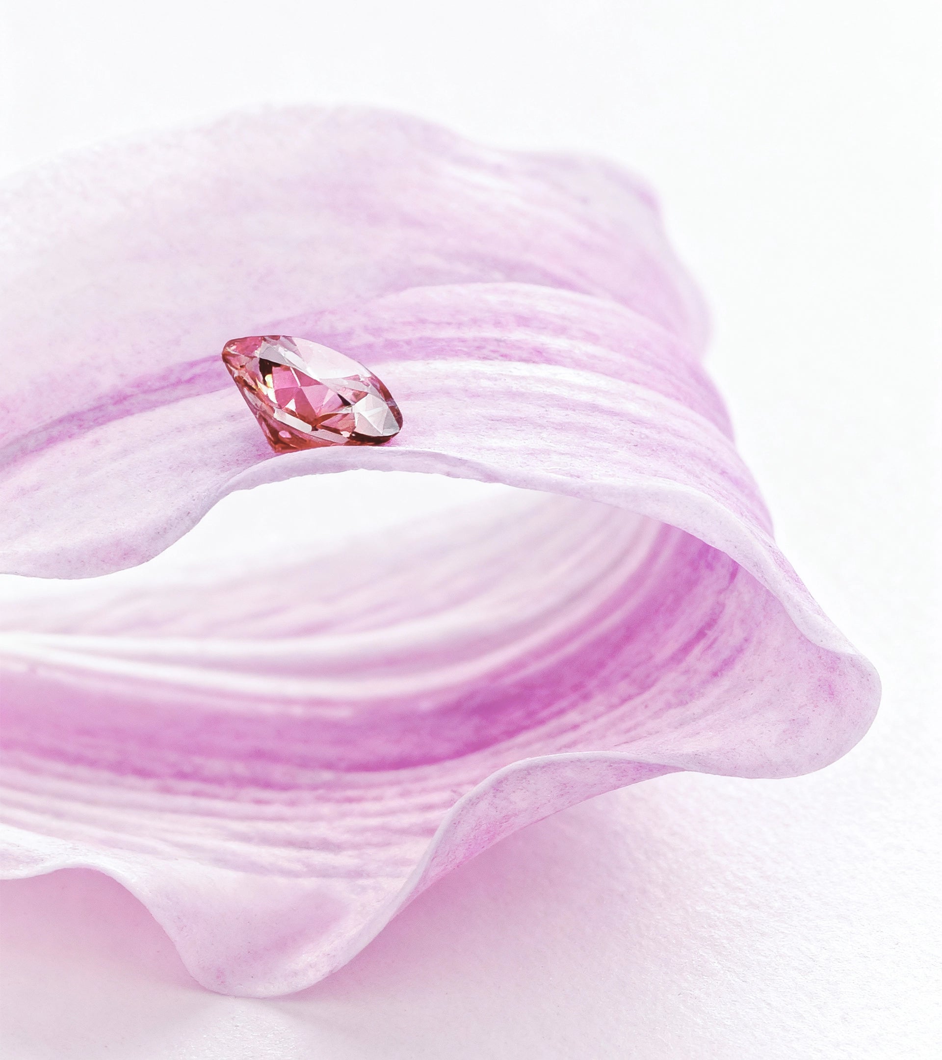 Close-up of a vivid pink brilliant-cut lab-created diamond by ALTR. The diamond is nestled within the delicate curves of a matching pink petal, demonstrating the precision of ALTR’s color-growth technology. This video showcases the intense color saturation and Type IIa purity of ALTR’s fancy-colored diamond collection, a sustainable alternative to mined pink diamond