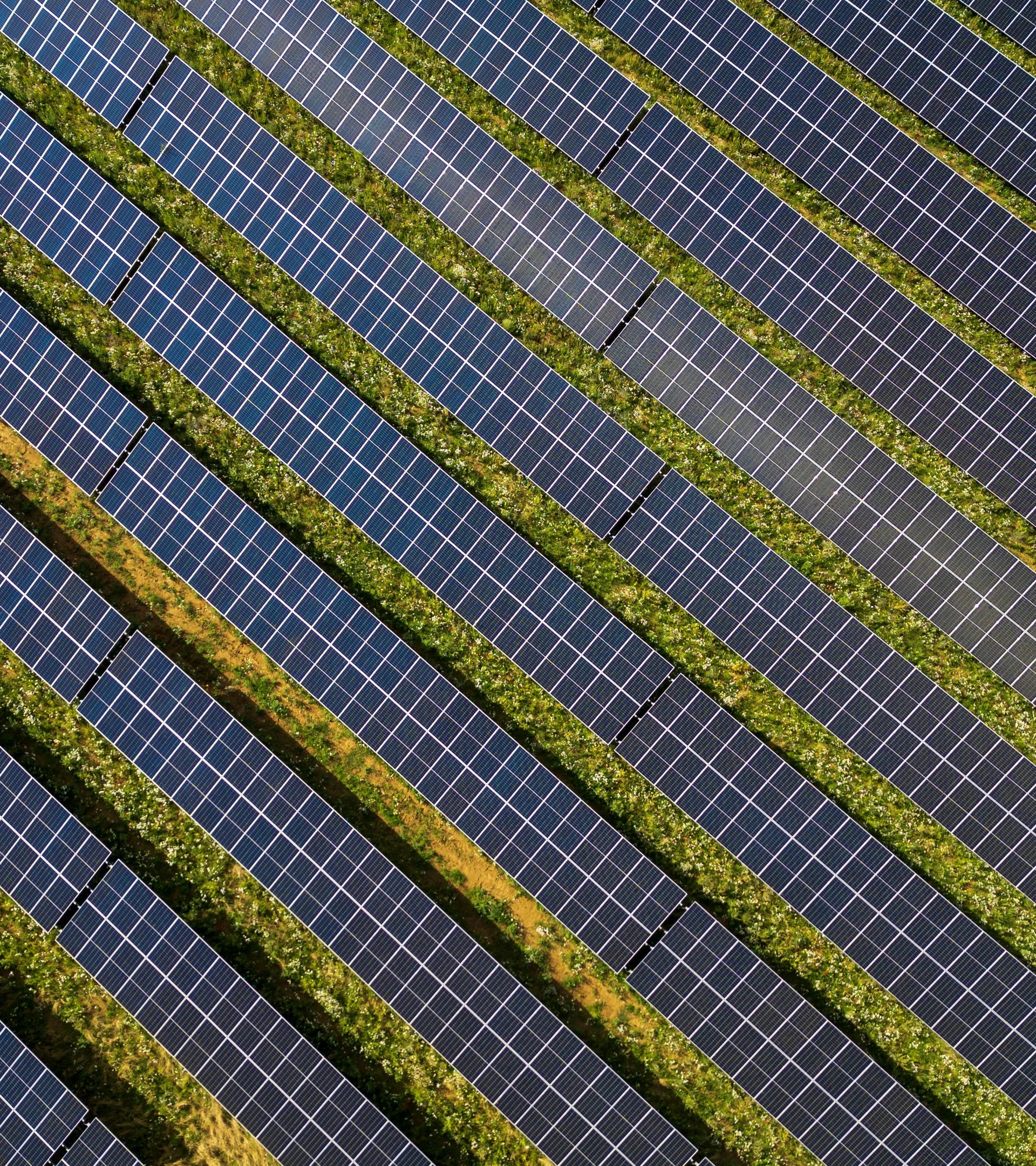 Aerial view of a solar panel array in a green field, representing ALTR's commitment to renewable solar energy.
