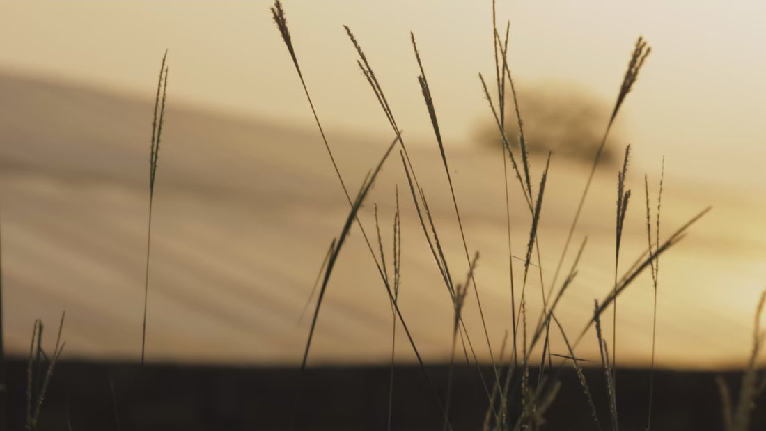 A cinematic brand film highlighting ALTR’s environmental responsibility. The video features aerial shots of solar panel arrays and pristine nature visuals, illustrating the intersection of high technology and ecological preservation. It emphasizes carbon-neutral diamond manufacturing and the brand’s mission to protect the planet while creating brilliant, sustainable jewelry.